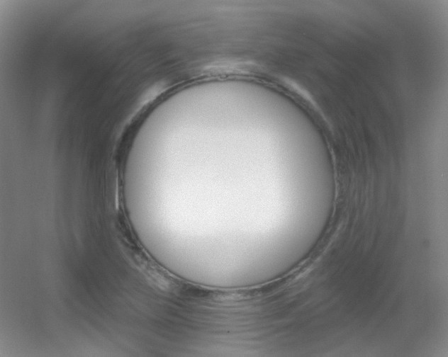 X0000055521219200508120813