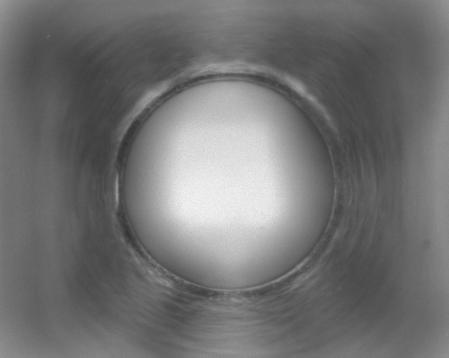 X0000055521221200508120813