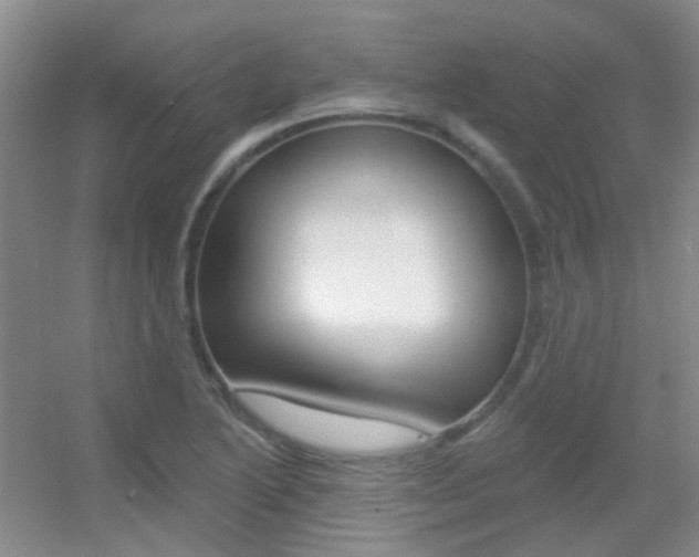X0000055521222200508120813