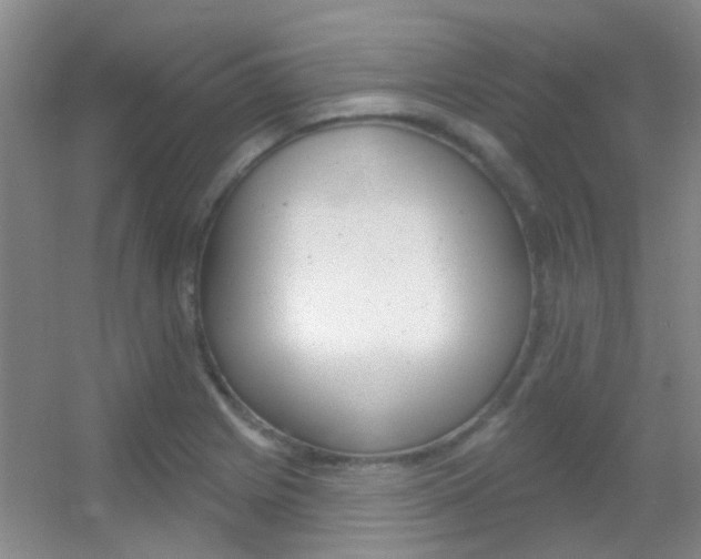 X0000055521225200508120813