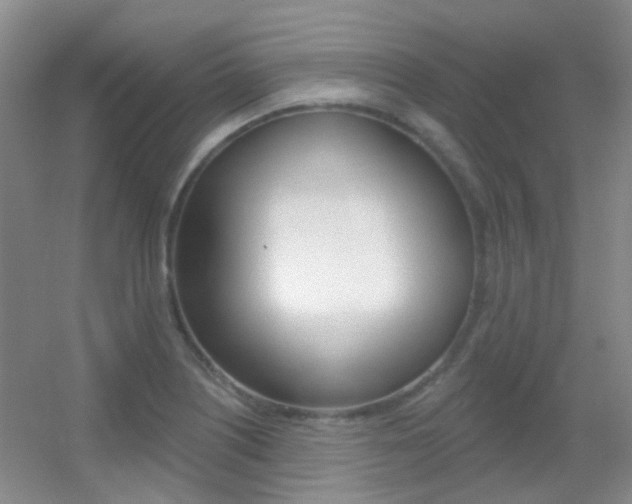 X0000055521226200508120813