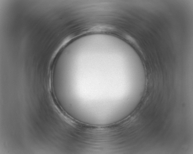 X0000055521227200508120813