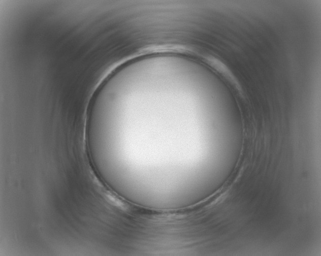 X0000055521228200508120813