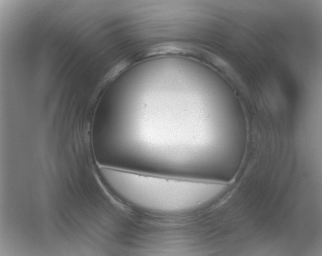 X0000055521233200508120813