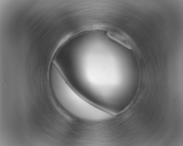 X0000055521234200508120813