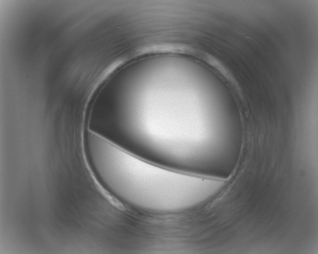 X0000055521237200508120813