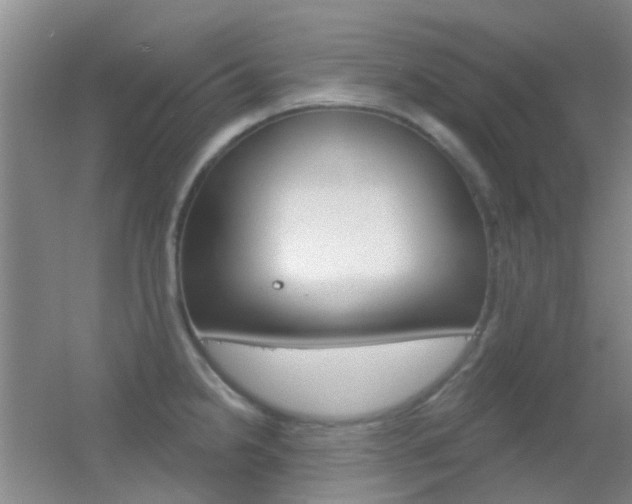 X0000055521238200508120813