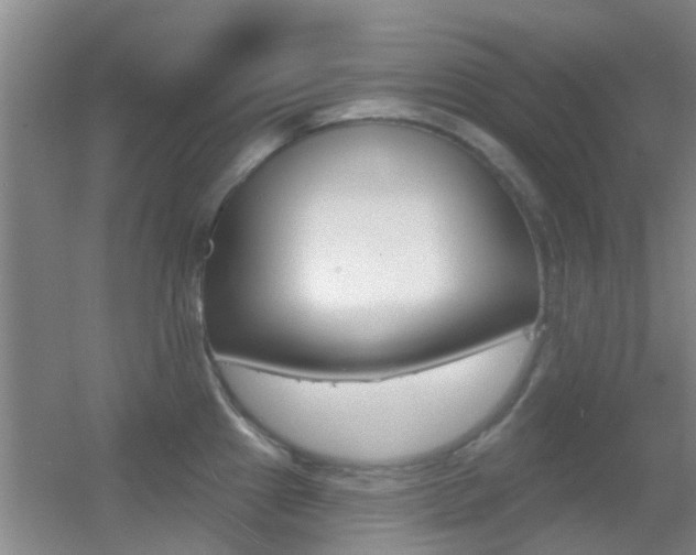 X0000055521241200508120813