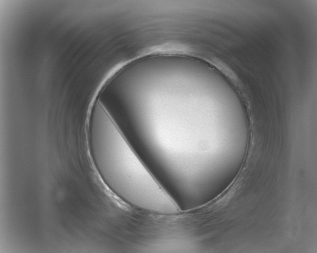 X0000055521248200508120813