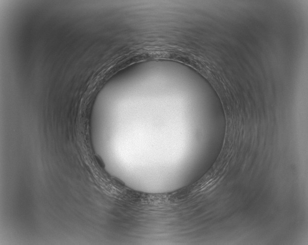 X0000055521249200508120813