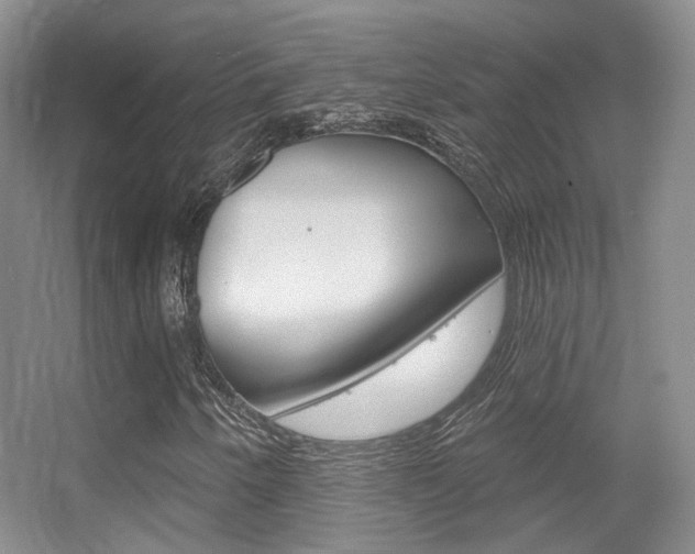 X0000055521250200508120813