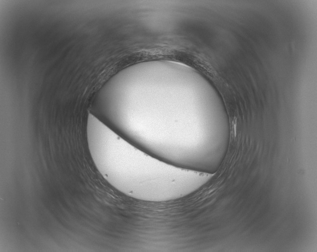 X0000055521251200508120813