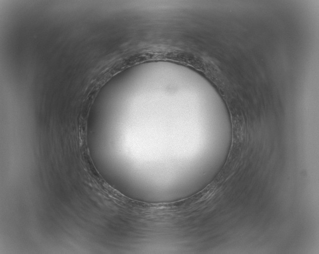 X0000055521253200508120812