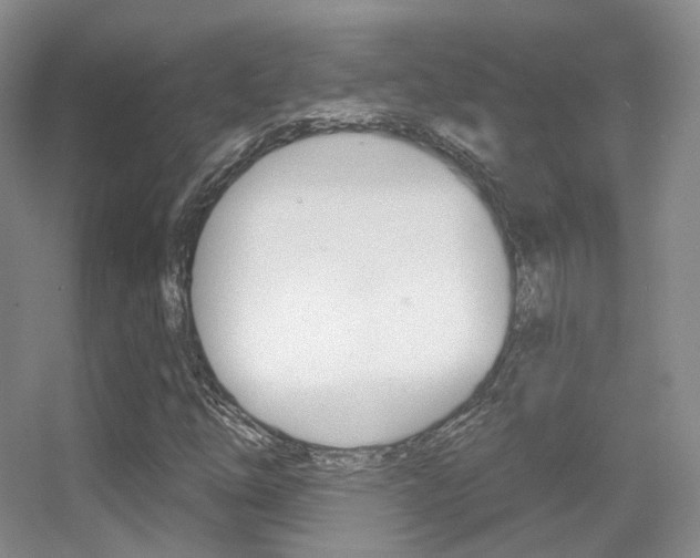 X0000055521254200508120812