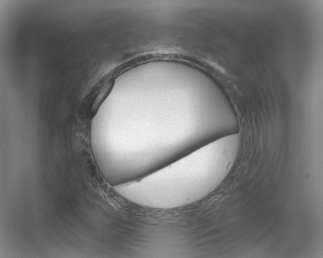 X0000055521255200508120812