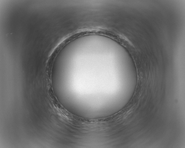 X0000055521256200508120812