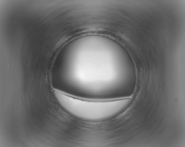 X0000055521257200508120812