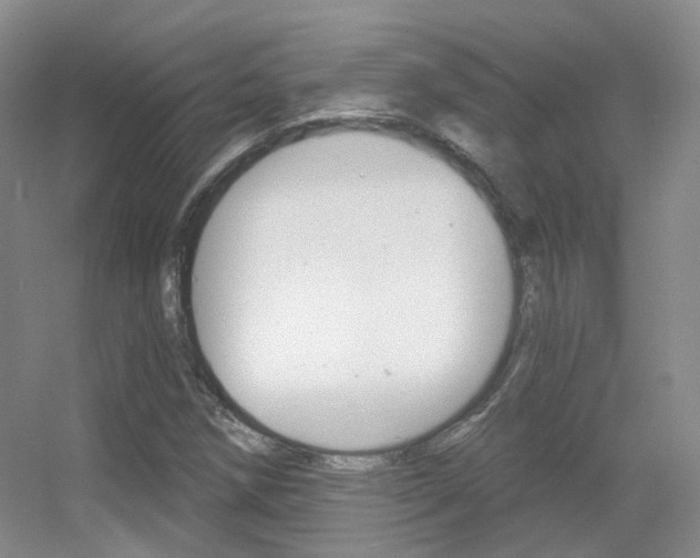 X0000055521258200508120812