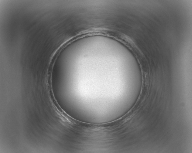 X0000055521260200508120812