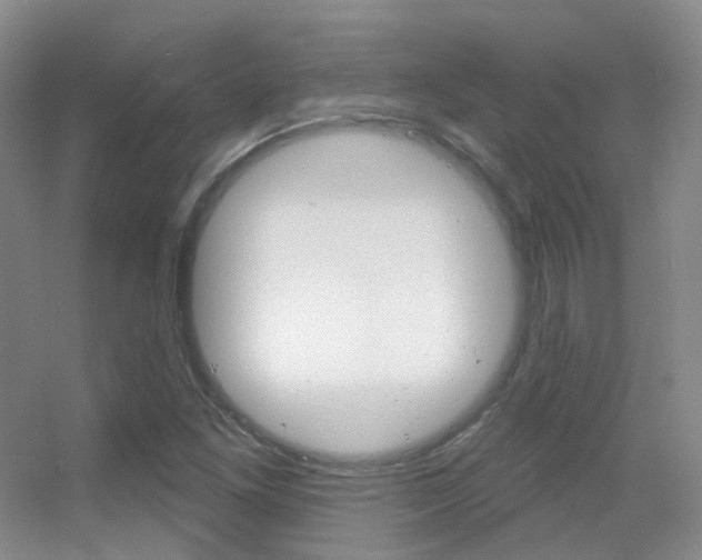 X0000055521261200508120812