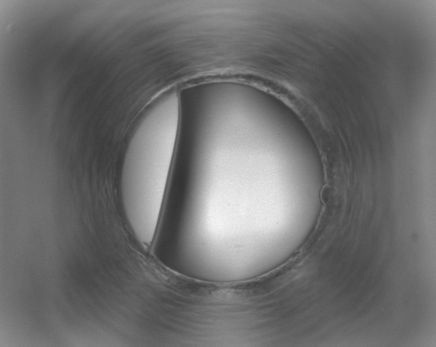 X0000055521265200508120812