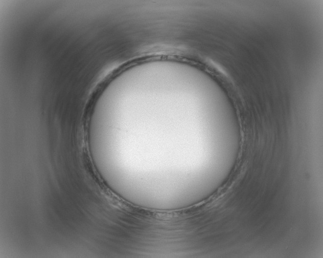 X0000055521267200508120812