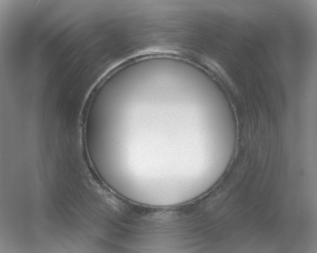 X0000055521268200508120812