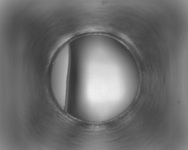 X0000055521269200508120812