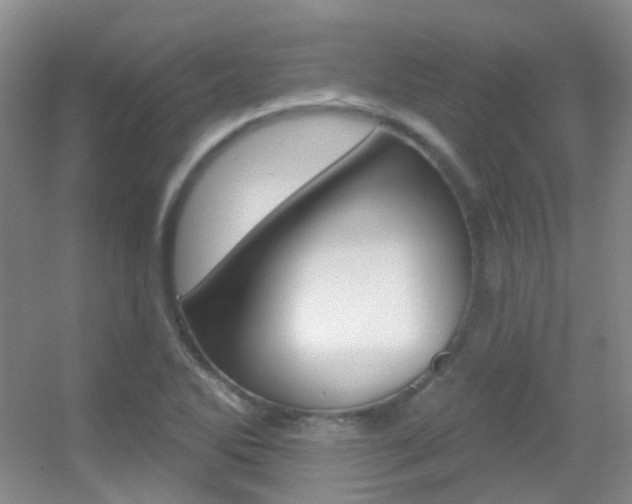 X0000055521270200508120812