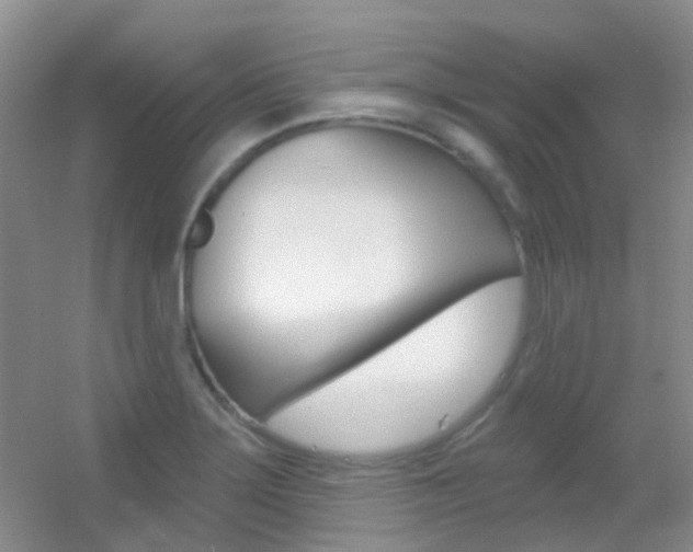 X0000055521275200508120812