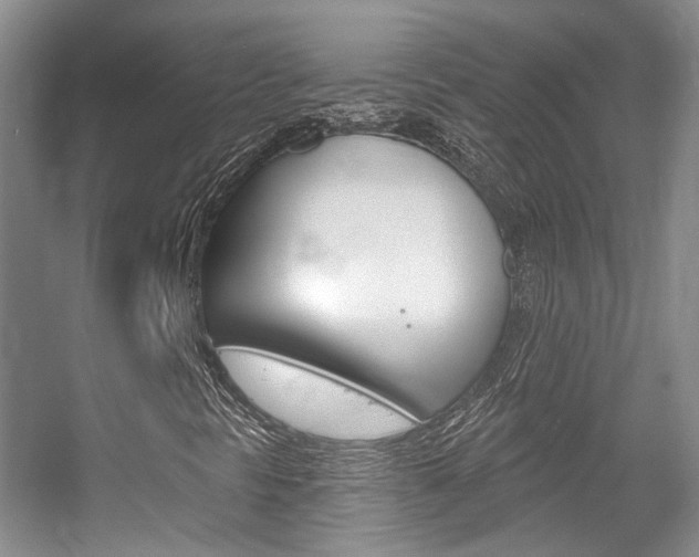 X0000055521297200508120811
