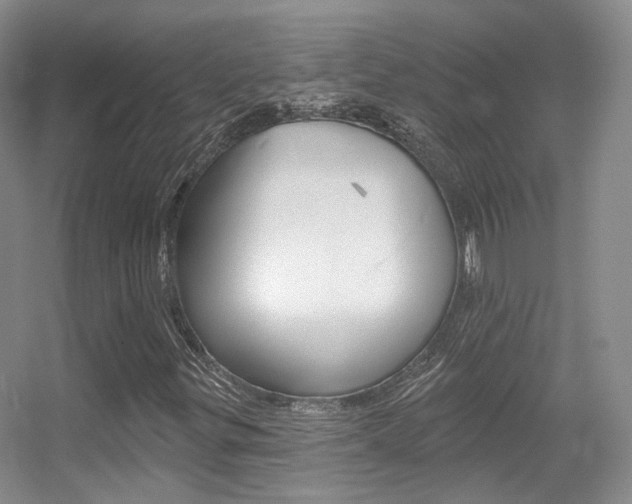 X0000055521299200508120811