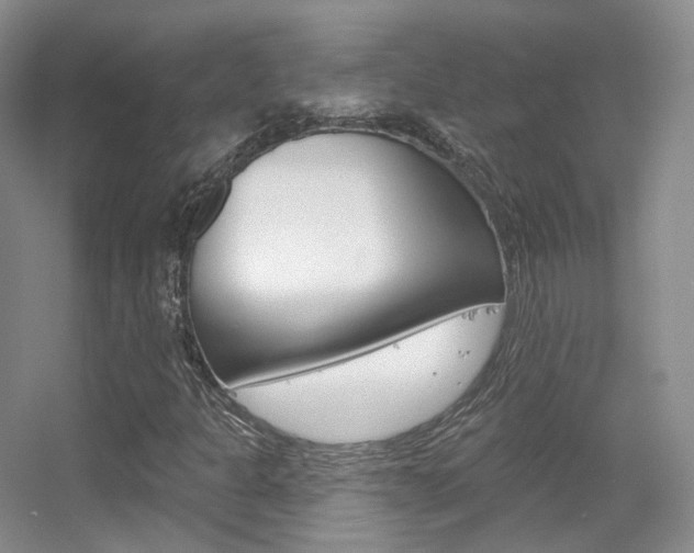 X0000055521301200508120811