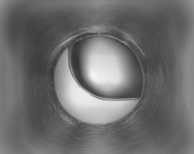 X0000055521304200508120811