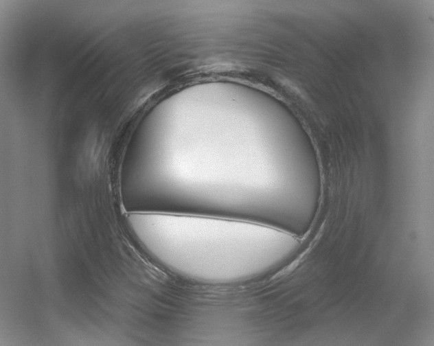 X0000055521305200508120811