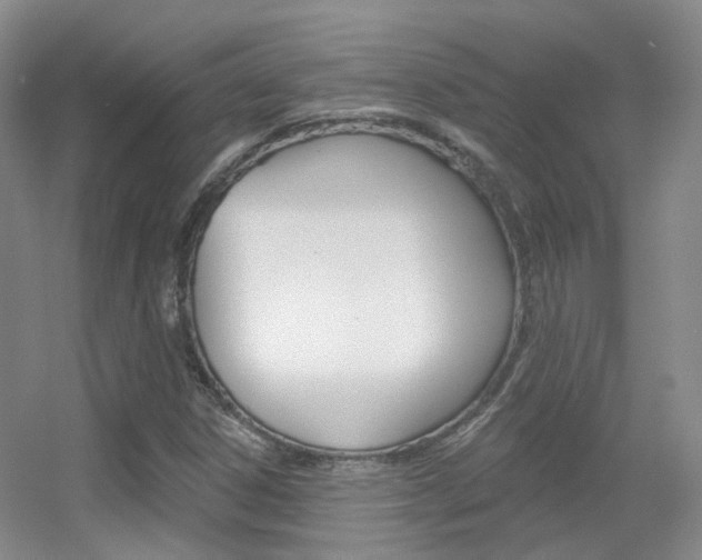 X0000055521306200508120811