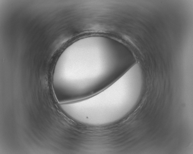 X0000055521307200508120811
