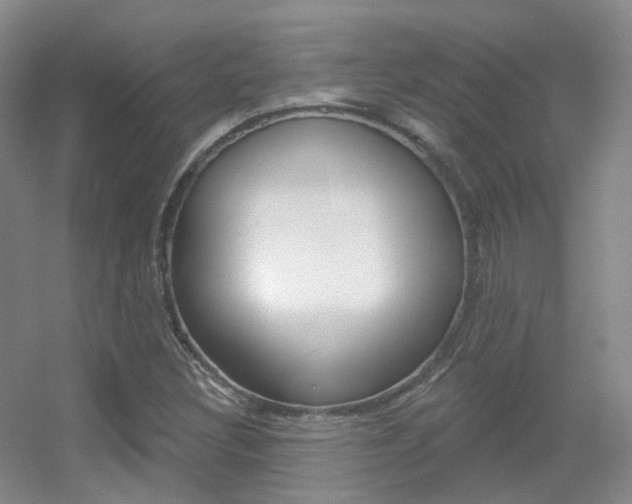 X0000055521308200508120811