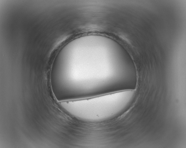 X0000055521309200508120811