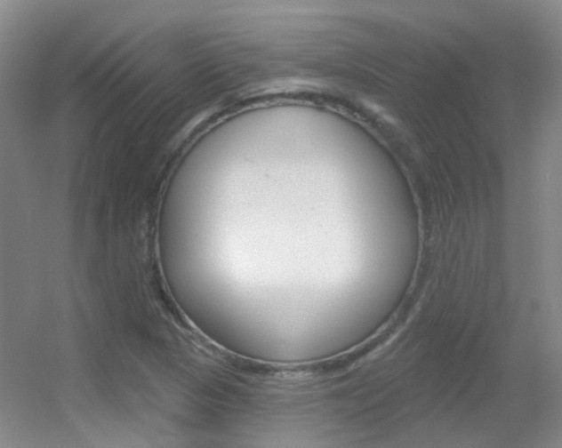 X0000055521313200508120811