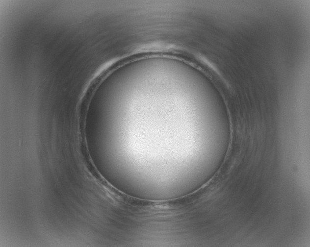 X0000055521315200508120811