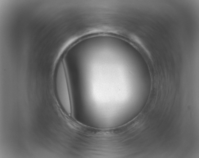 X0000055521320200508120811