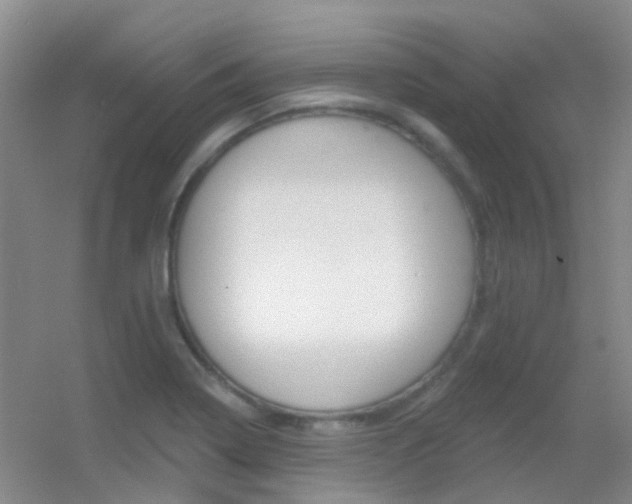 X0000055521322200508120811