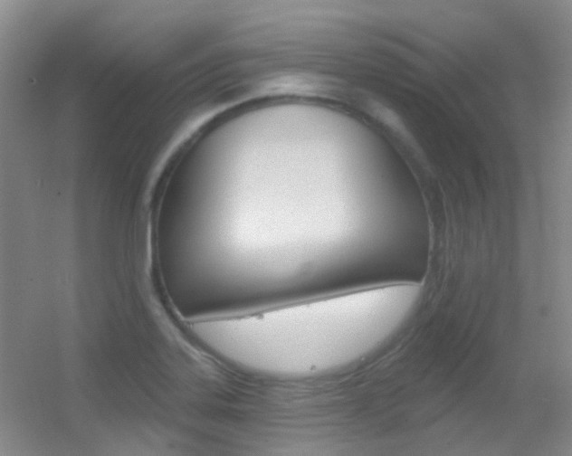 X0000055521323200508120811