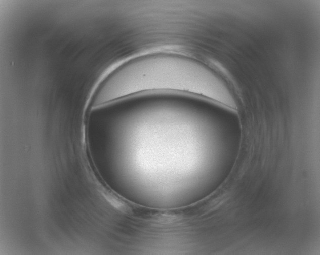 X0000055521324200508120811