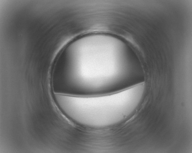 X0000055521325200508120811