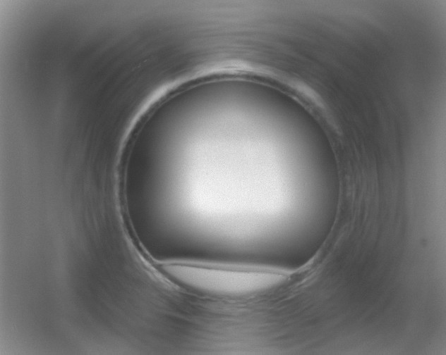 X0000055521326200508120811