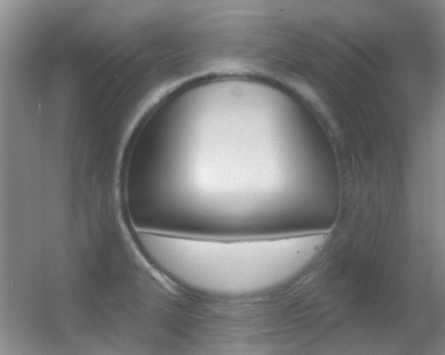 X0000055521327200508120811