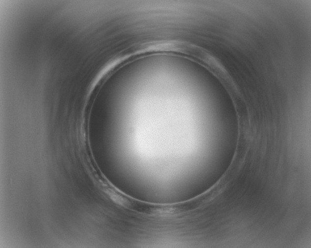 X0000055521328200508120811