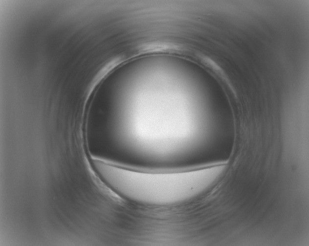 X0000055521330200508120812